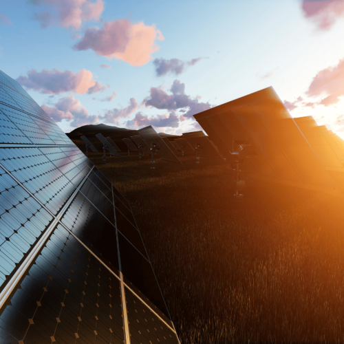 scope 12 vanaf hoeveel panelen houtman